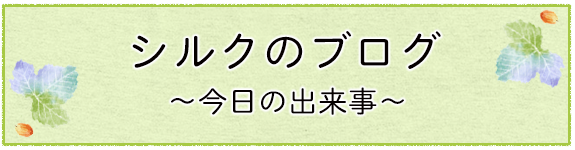 シルクのブログ～今日の出来事～