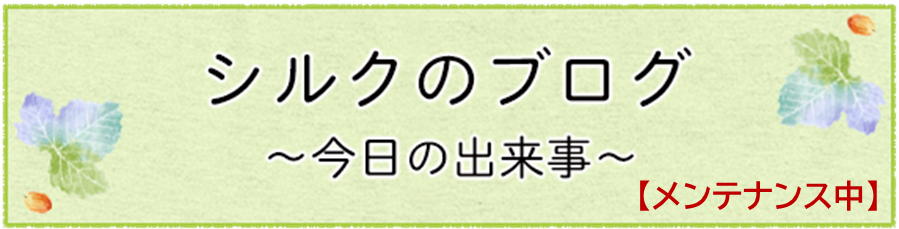 シルクのブログ～今日の出来事～